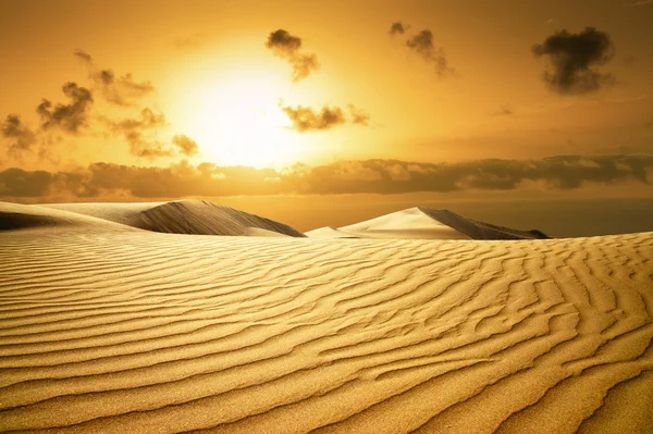 Gouden woestijn. Sunset beach. Stockfoto