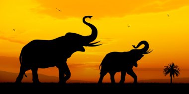 Elephants clipart