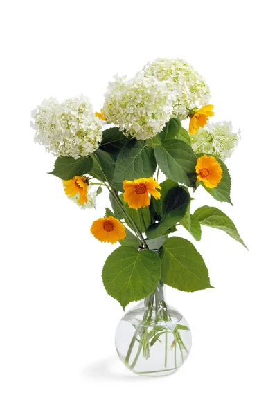 Gule og hvide blomster - Stock-foto