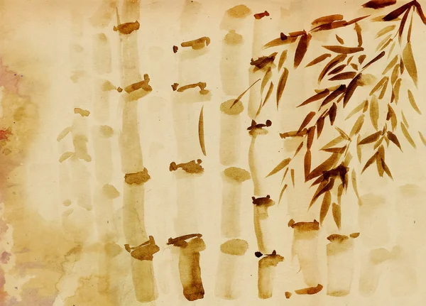 Бамбук grove Стокове Зображення