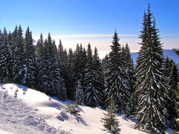 Зимние горные пейзажи — стоковое фото