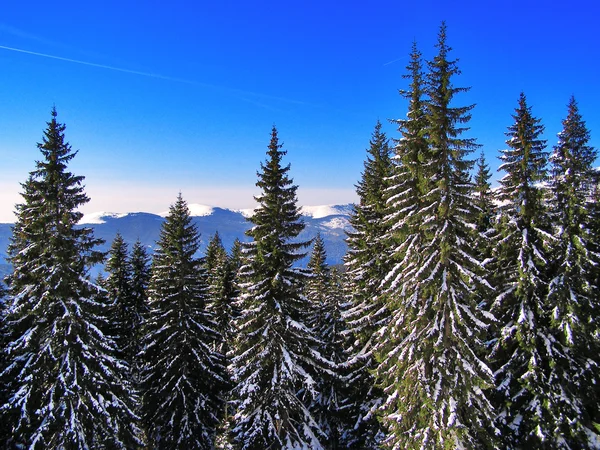 Зимние горные пейзажи — стоковое фото