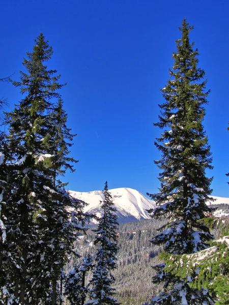 Zimowej scenerii górskiej — Zdjęcie stockowe