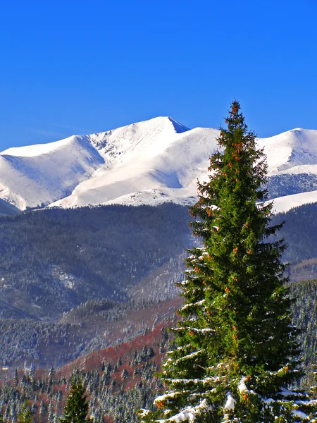 Гірські пейзажі зими — стокове фото
