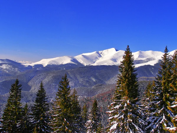Inverno paisagem de montanha — Fotografia de Stock