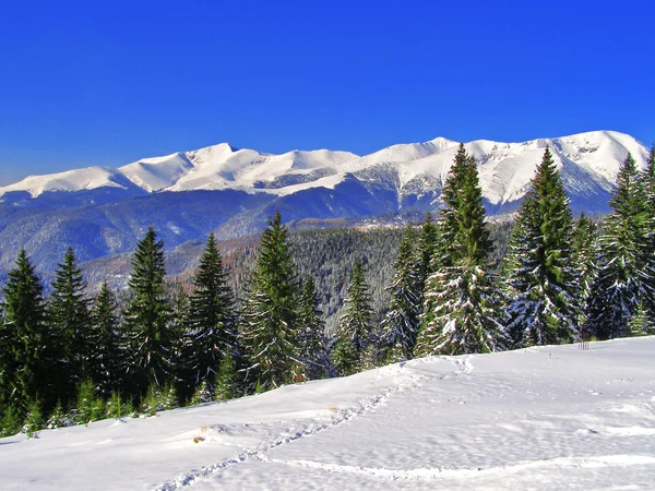 Zimní horské scenérie — Stock fotografie