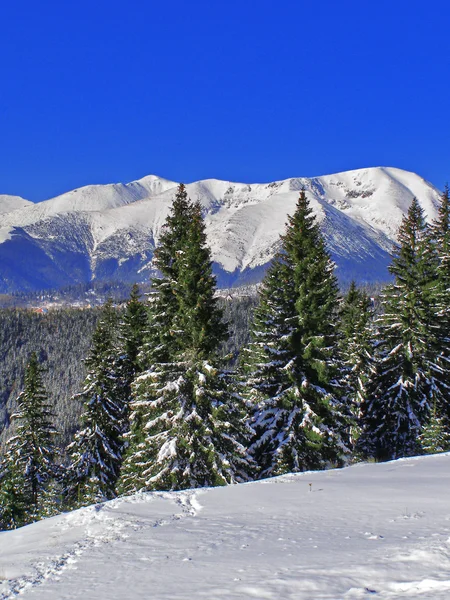 Inverno paisagem de montanha — Fotografia de Stock