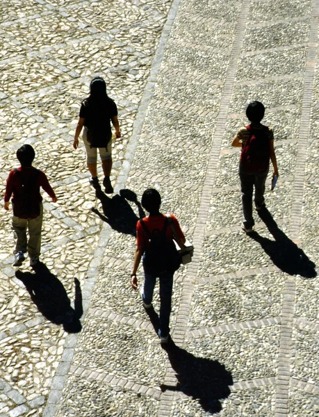 stock image Four walkers