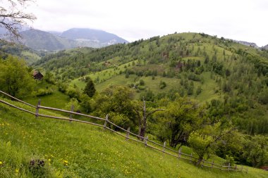 kırsal sahne pestera Köyü, Romanya