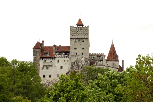 Дневная сцена с замком Бран из Трансильвании — стоковое фото
