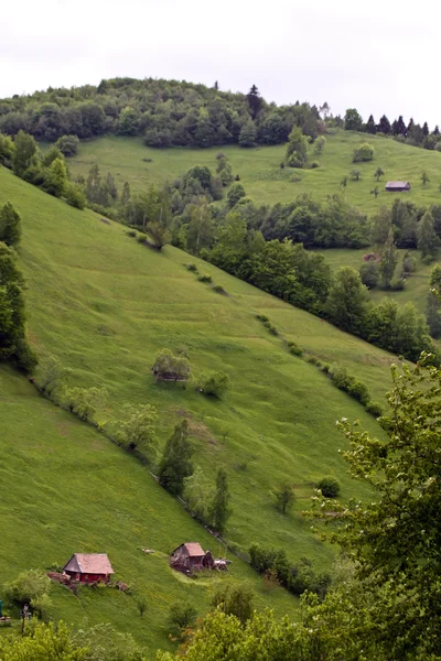 Pestera 村から、ルーマニアの田園風景 — ストック写真