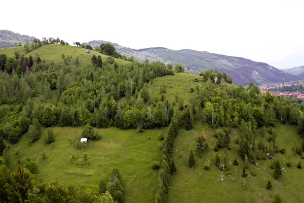 Beautiful meadow from Romania, Pestera village — Stock Photo, Image