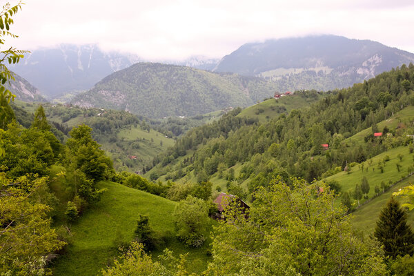 Rural scene from Pestera village, Romania