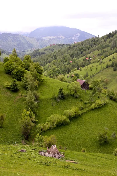 Cena rural da aldeia de Pestera, Roménia — Fotografia de Stock