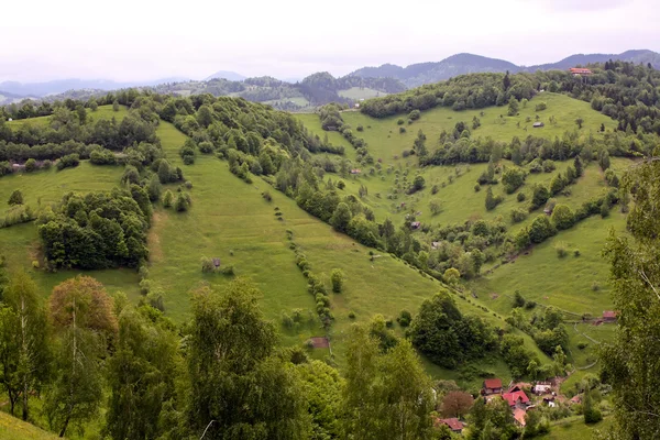 从罗马尼亚的村庄，叫做 pestera 的美丽乡村景观 — 图库照片