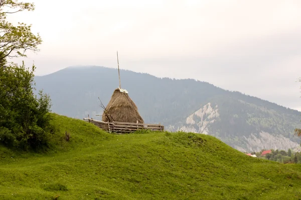 Yaz günü sahne Romanya'dan pestera Köyü — Stok fotoğraf