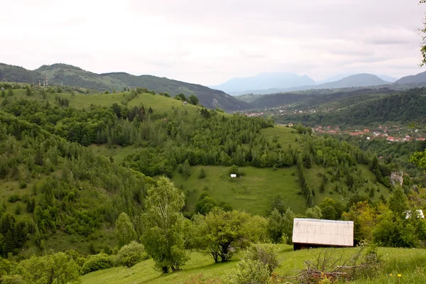 Yaz günü sahne Romanya'dan pestera Köyü — Stok fotoğraf