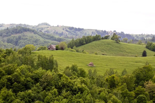 Landsbygdens scen från rumänska byn — Stockfoto