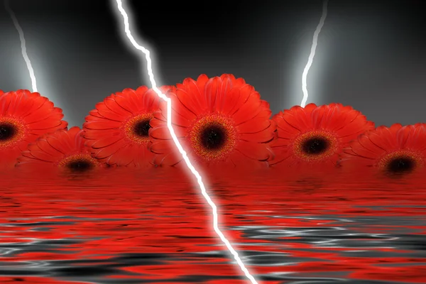 Blitz schlägt über dem Wasser ein mit roten Blumen im Hintergrund — Stockfoto