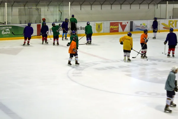 Jugadores de hockey sobre hielo siguiendo el programa de entrenamiento —  Fotos de Stock