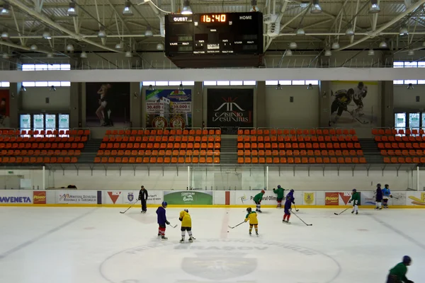 Jugadores de hockey sobre hielo siguiendo el programa de entrenamiento —  Fotos de Stock