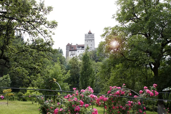 Cena do dia com o Castelo de Drácula da Transilvânia — Fotografia de Stock