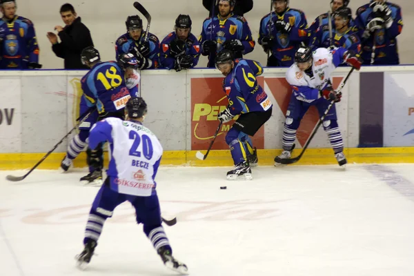 在布拉索夫体育场冰球的的战斗 — 图库照片