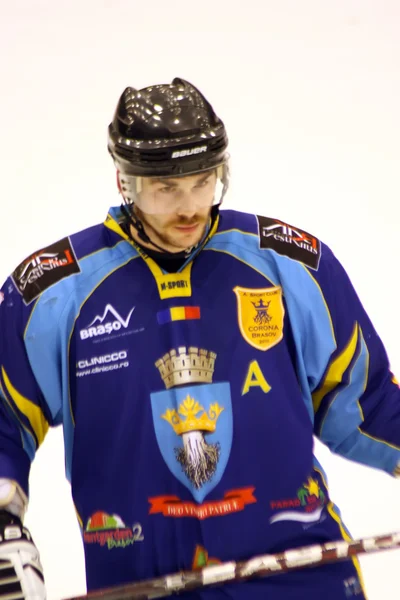 stock image Hockey player of Brasov team in prim plan