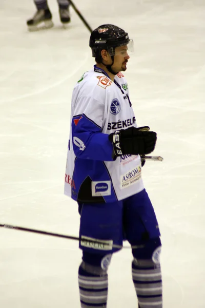 Portrait eines Eishockeyspielers aus dem miercurea-ciuc-Team — Stockfoto