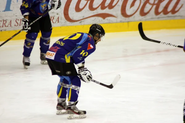 Eishockeyspieler der Brasov-Mannschaft — Stockfoto