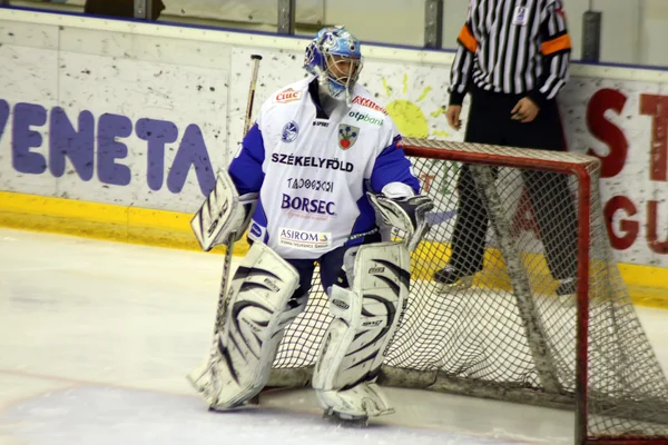 El portero de hockey del equipo Miercurea-Ciuc — Foto de Stock