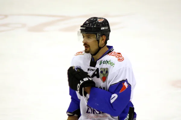 Portait of hockey player of Miercurea-Ciuc team — Stock Photo, Image