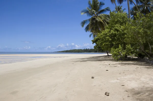 Beautiful tropical beach in Brasil — Stock Photo, Image