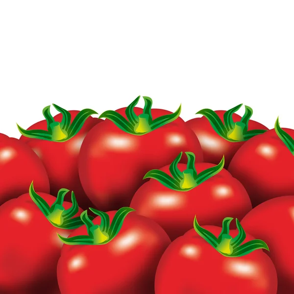 stock image Red Tomatos