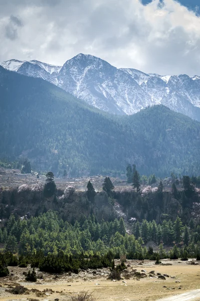 Горный пейзаж Гималаев — стоковое фото