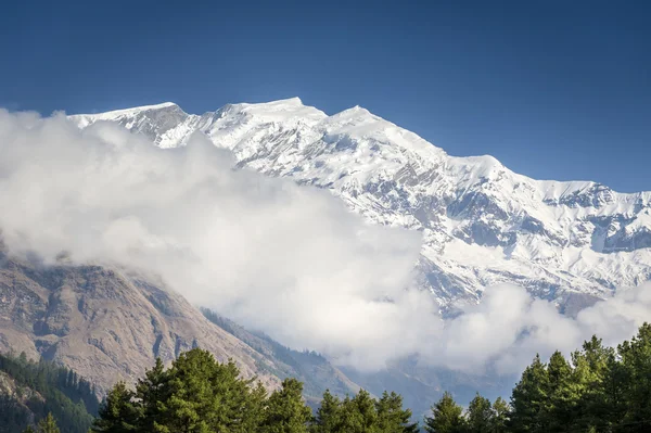在尼泊尔的安纳布尔纳喜马拉雅山峰 — 图库照片
