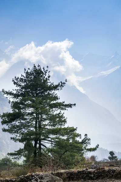 Вершина Гималайских гор в центре Непала — стоковое фото