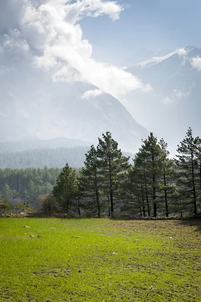 Himalaya Dağları'nda yeşil alan — Stok fotoğraf