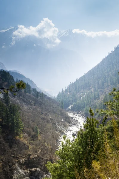 Небольшая река в Гималаях — стоковое фото