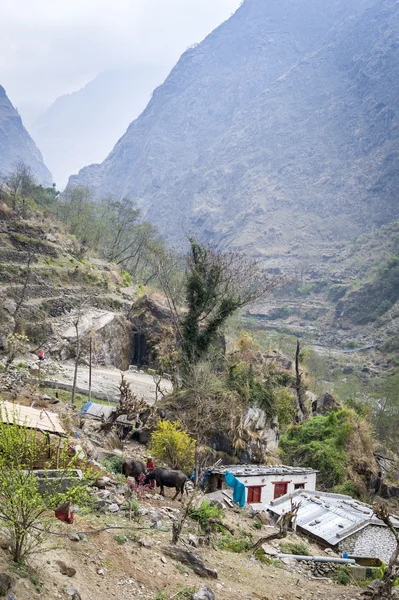 Vue de la maison locale dans les montagnes de l'Himalaya — Photo