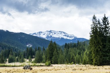 Bulutlu gün boyunca Tatra Dağları