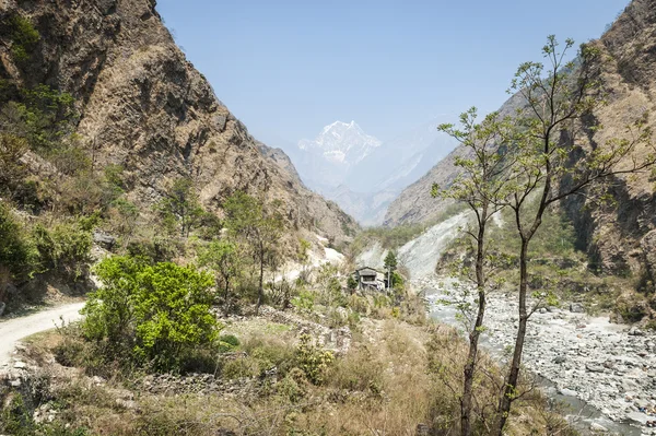 Долина в Гималаях — стоковое фото