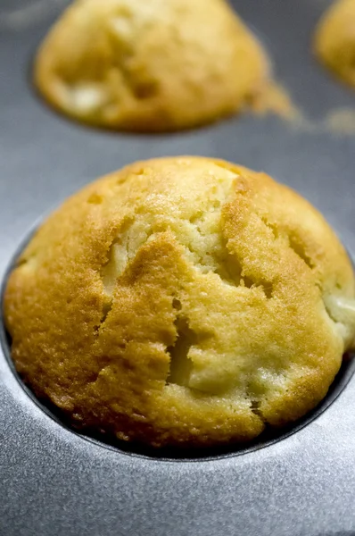 Färska muffin i form — Stockfoto