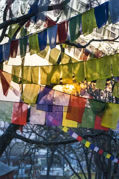 Tibet dua bayrakları — Stok fotoğraf