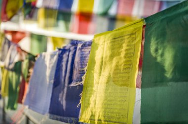 closeup Tibet dua bayrakları