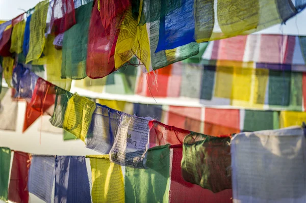 Тибетський молитва прапор Непалу — стокове фото