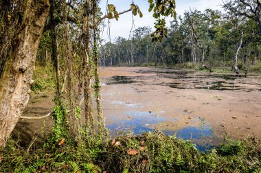 Chitwan National Park, Nepal