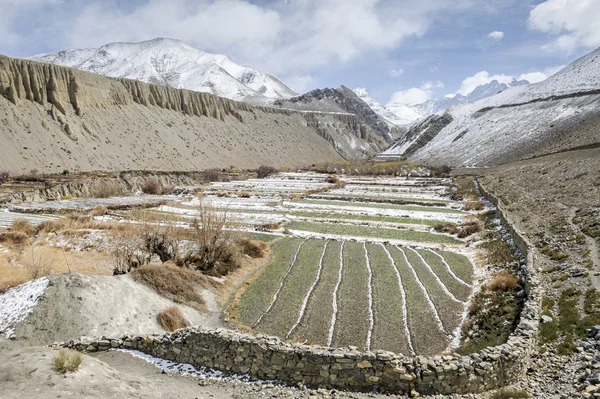 Himalaya panorama — Stok fotoğraf