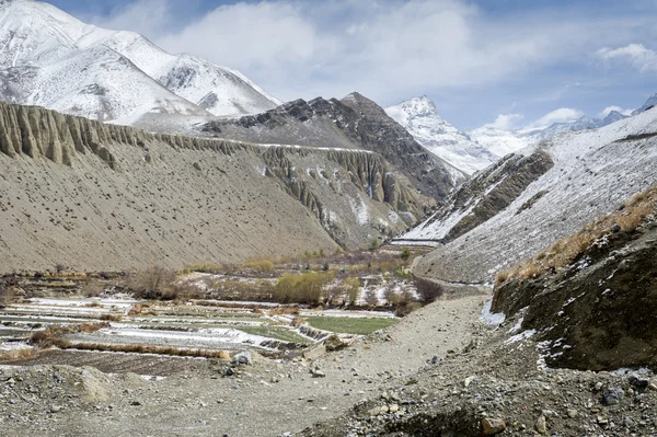 Montagne dell'Himalaya — Foto Stock