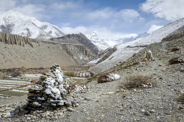 Frühling im Himalaya — Stockfoto